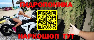 индика Гагарин