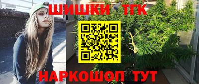 индика Гагарин