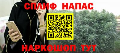 индика Гагарин