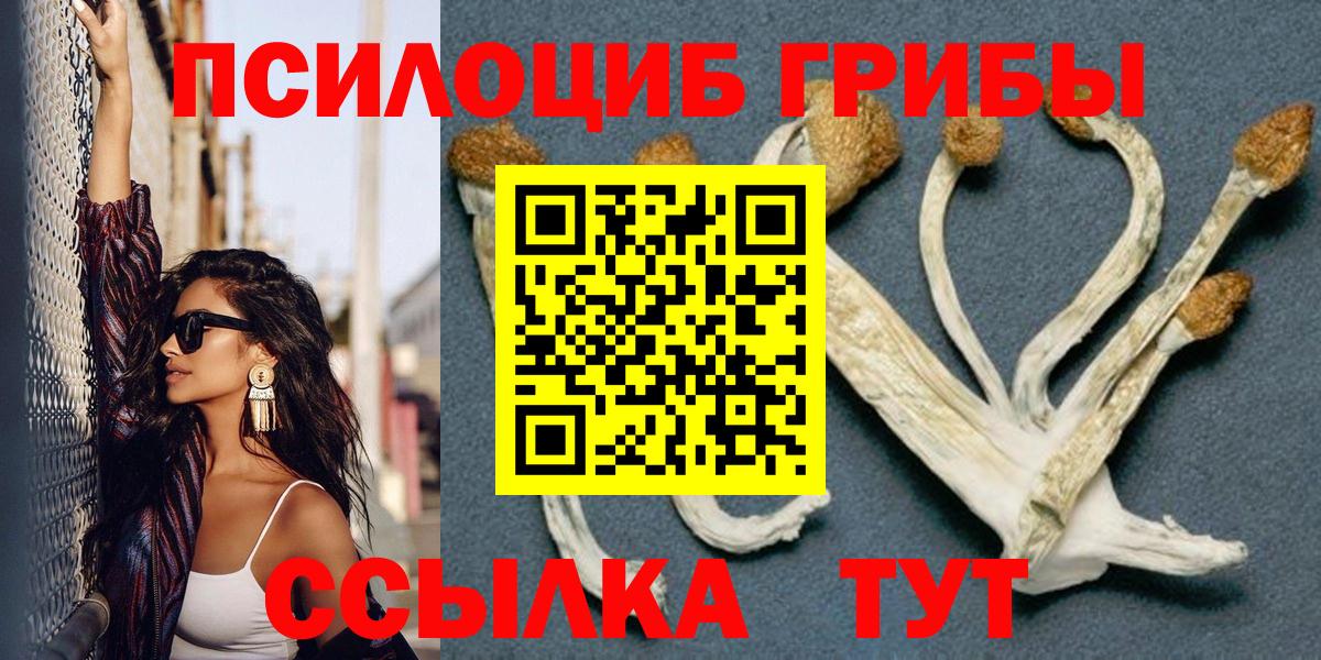 Галлюциногенные грибы GOLDEN TEACHER Михайловск